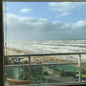 Dreamview Zandvoort